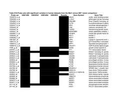 Table S16:Probe Sets with Significant Variation in Human Datasets from the Met1 Versus DB7 Tumor Comparison Probe Set GSE1456 G