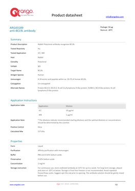 Anti-BCL9L Antibody (ARG43189)