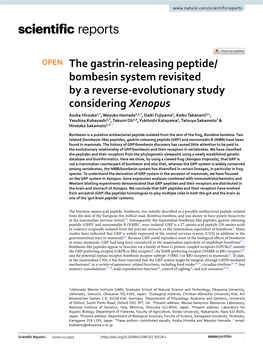 The Gastrin-Releasing Peptide/Bombesin System Revisited