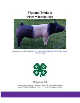 Tips and Tricks to Prize Winning Pigs