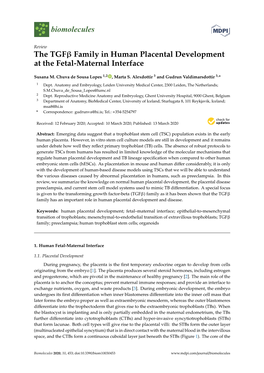 The Tgfβ Family in Human Placental Development at the Fetal-Maternal Interface