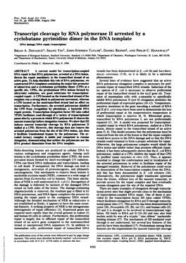 Cyclobutane Pyrimidine Dimer in the DNA Template (DNA Damage/DNA Repair/Transcription) BRIAN A