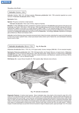 Galeoides Günther, 1860 Galeoides Decadactylus (Bloch, 1795)