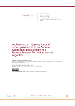 Architecture of Intereruptive and Syneruptive Facies in an Andean Quaternary Palaeovalley: the Huarenchenque Formation, Western Argentina