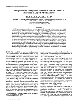 Intraspecific and Interspecific Variation in 5S RNA Genes Are Decoupled in Diploid Wheat Relatives