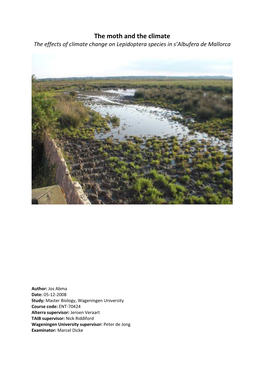 The Effects of Climate Change on Lepidoptera Species in S’Albufera De Mallorca