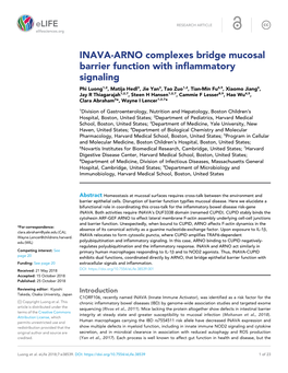 INAVA-ARNO Complexes Bridge Mucosal Barrier Function With