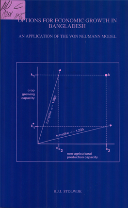 An Application of the Von Neumann Model