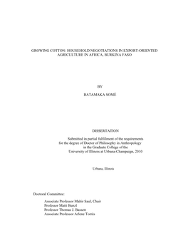 Growing Cotton: Household Negotiations in Export-Oriented Agriculture in Africa, Burkina Faso