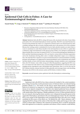 Epidermal Club Cells in Fishes: a Case for Ecoimmunological Analysis