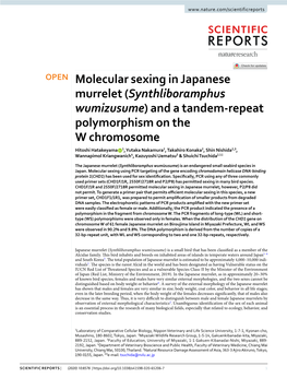 Molecular Sexing in Japanese Murrelet (Synthliboramphus Wumizusume) and a Tandem-Repeat Polymorphism on the W Chromosome