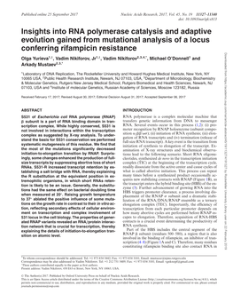 Insights Into RNA Polymerase Catalysis and Adaptive Evolution