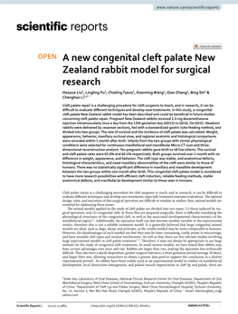 A New Congenital Cleft Palate New Zealand Rabbit Model for Surgical