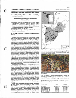 AMPHIBIA: ANURA: LEPTODACTYLIDAE LEPTODACTYLUS MYSTACINUS Catalogue of American Amphibians and Reptiles