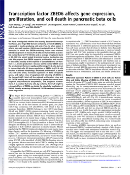 Transcription Factor ZBED6 Affects Gene Expression, Proliferation, and Cell Death in Pancreatic Beta Cells