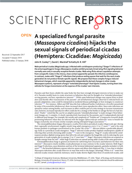 (Massospora Cicadina) Hijacks the Sexual Signals of Periodical Cicadas