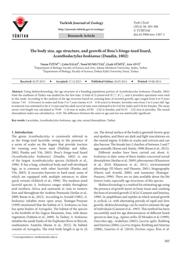 The Body Size, Age Structure, and Growth of Bosc's Fringe