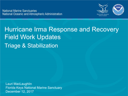 Hurricane Irma Response and Recovery Field Work Updates Triage & Stabilization