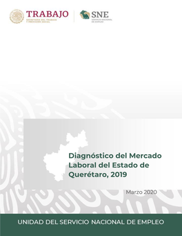 Diagnóstico Del Mercado Laboral Del Estado De Querétaro, 2019