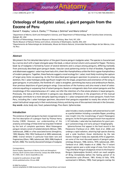 Osteology of Icadyptes Salasi, a Giant Penguin from the Eocene of Peru