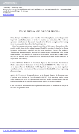 String Theory and Particle Physics: an Introuction to String Phenomenology Luis E