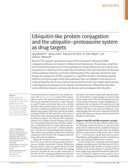 Ubiquitin-Like Protein Conjugation and the Ubiquitin–Proteasome System As Drug Targets