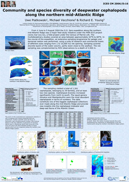 Community and Species Diversity of Deepwater Cephalopods Along the Northern Mid-Atlantic Ridge Uwe Piatkowski1, Michael Vecchione2 & Richard E