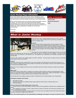 What Is Junior Hockey