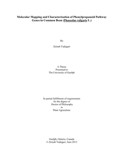 Molecular Mapping and Characterization of Phenylpropanoid Pathway Genes in Common Bean (Phaseolus Vulgaris L.)
