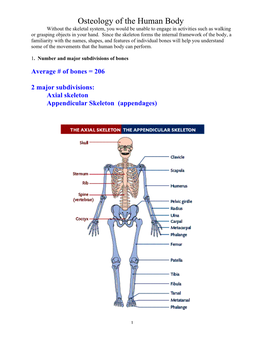 Osteology of the Human Body Without the Skeletal System, You Would Be Unable to Engage in Activities Such As Walking Or Grasping Objects in Your Hand