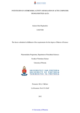 POTENTIATION of ANTIMICROBIAL ACTIVITY and ISOLATION of ACTIVE COMPOUNDS from LOXOSTYLIS ALATA Selaelo Ethel Raphatlelo U1067550