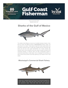 Sharks of the Gulf of Mexico