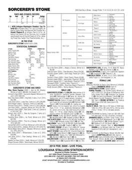 Sorcerer's Stone Boldnesian Bold Reasoning in the STUD Reason to Earn Seattle Slew Poker SORCERER's STONE Entered Stud in 2008