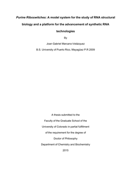 Purine Riboswitches: a Model System for the Study of RNA Structural