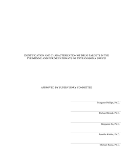 LEIJA-DISSERTATION-2016.Pdf (6.118Mb)