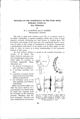 REMARKS on the Morpholocxy of the TEAK MOTH, HYBLAEA PUERA CR. (Lep. Hyblaeidae) by H. S. DE KONING and W. ROEPKE (Wageningen, Holland)
