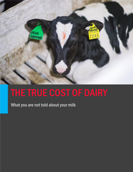 THE TRUE COST of DAIRY What You Are Not Told About Your Milk EXECUTIVE SUMMARY