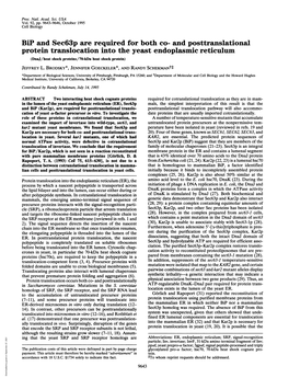 And Posttranslational Protein Translocation Into Theyeast