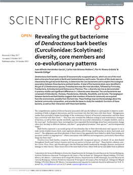 Revealing the Gut Bacteriome of Dendroctonus Bark Beetles