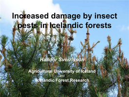 Risk of Pest Insects on Forest Trees in Iceland Halldór Sverrisson Iceland