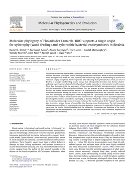 Molecular Phylogeny of Pholadoidea Lamarck, 1809 Supports a Single Origin for Xylotrophy (Wood Feeding) and Xylotrophic Bacterial Endosymbiosis in Bivalvia ⇑ Daniel L