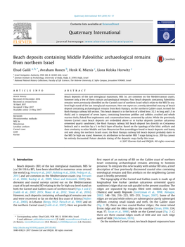 Beach Deposits Containing Middle Paleolithic Archaeological Remains from Northern Israel