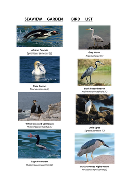 Seaview Garden Bird List