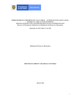 PRIMER INFORME DE CUMPLIMIENTO DEL FALLO JUDICIAL – ACCIONES DE TUTELA 68432-31-89-001- 2019-00041-03 Y 68001-31-87-003-2019-00039-02