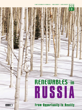 Renewables in Russia -- from Opportunity to Reality