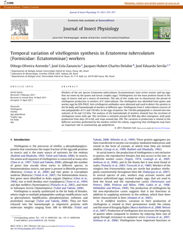 Temporal Variation of Vitellogenin Synthesis in Ectatomma Tuberculatum