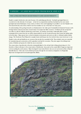 A Land Moulded from Rock and Ice