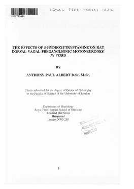 The Effects of 5-Hydroxytryptamine on Rat Dorsal Vagal Preganglionic Motoneurones in Vitro