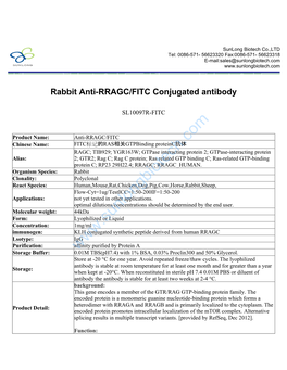 Rabbit Anti-RRAGC/FITC Conjugated Antibody-SL10097R-FITC