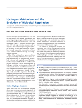 Hydrogen Metabolism and the Evolution of Biological Respiration